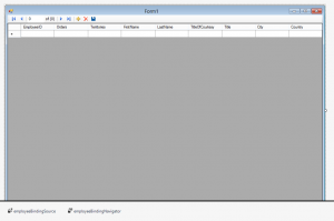 Windows Form Data Binding - Nerd Backyard